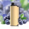 Alibarbar Ingot 9000 Puffs Blueberry Blast luxury gold bar disposable vape device