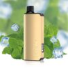 ALIBARBAR INGOT 9000 PUFF – COOL MINT - Online Vape Store Australia
