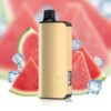 ALIBARBAR INGOT 9000 PUFF – WATERMELON ICE - Online Vape Store Australia